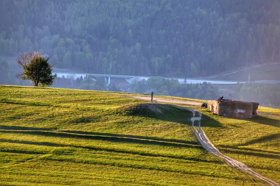 Widok na polanę i Ciężki Schron Bojowy „Wyrwidąb” - Bukowina w Węgierskiej Górce