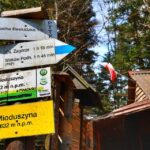 Słup z drogowskazami oraz żółta tabliczka „Mioduszyna 632 m n.p.m.” w Beskidzie Makowskim