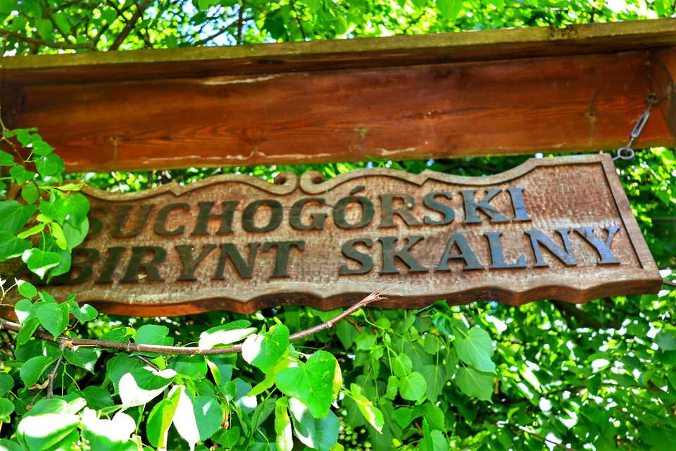 Drewniana tablica z napisem „Suchogórski Labirynt Skalny” w Bytomiu