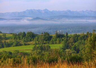 Cyrnowa Góra w Gorcach – droga widokowa na Tatry, Pieniny i Jezioro Czorsztyńskie