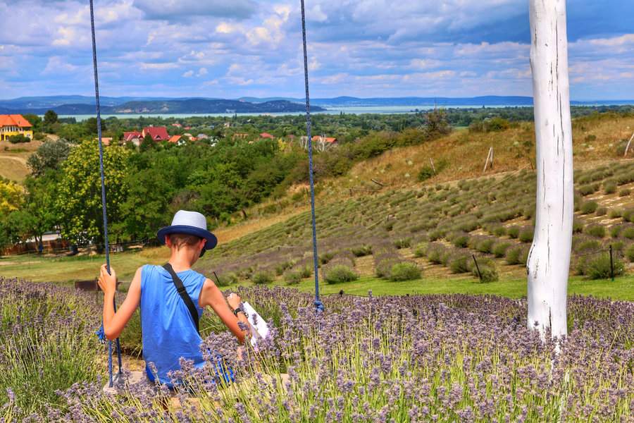 Dziecko siedzące na huśtawce pośród lawendowego pola Kőröshegyi Levendulás, podziwiające zachwycający widok na Jezioro Balaton